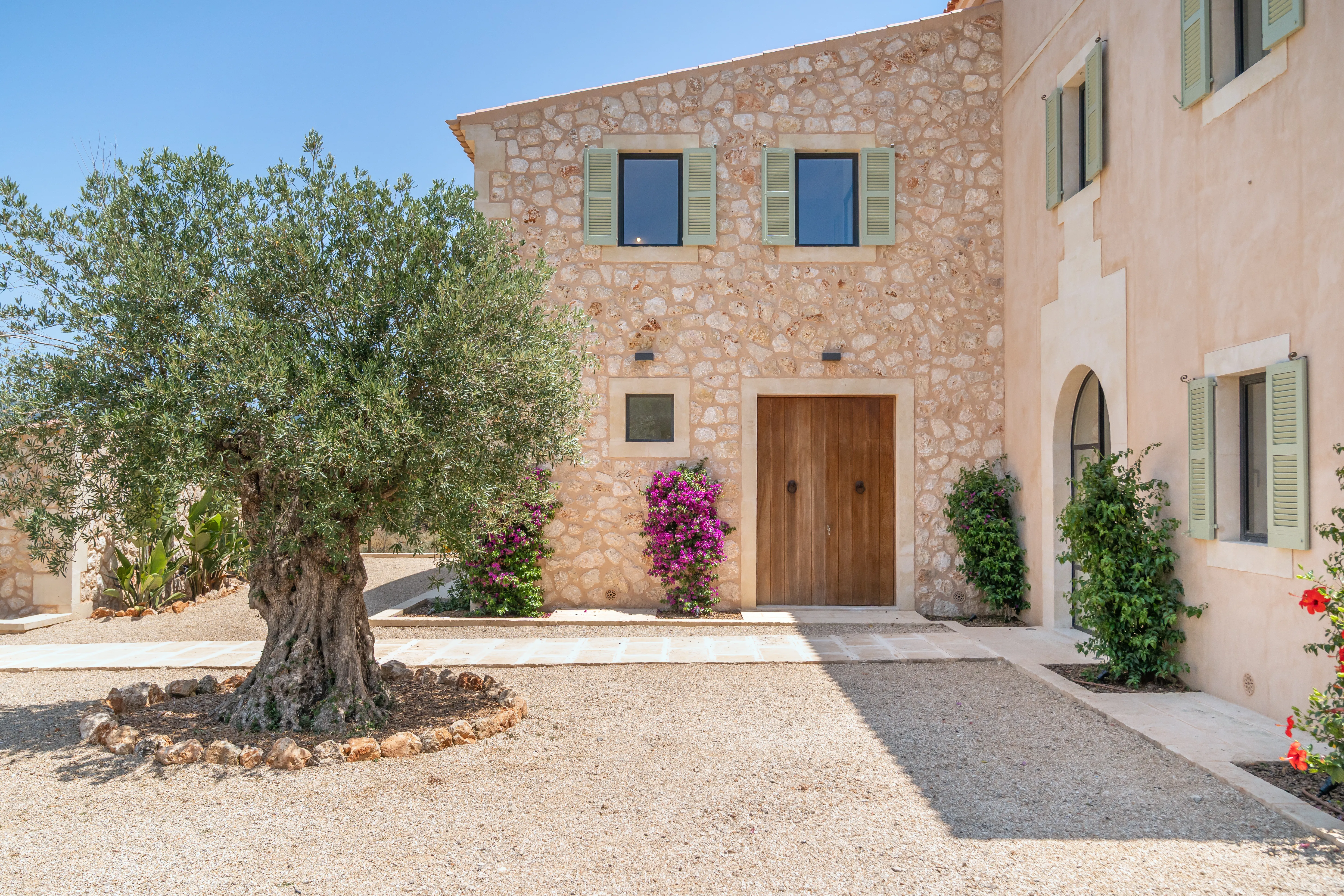Eingang mit hundertjährigem Olivenbaum und mallorquinischem Sandstein — Finca in Ca's Concos, Mallorca